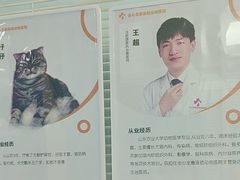 -全心全意连锁动物医院·微创中心·内科急重症·心脏专科(丰管路店)