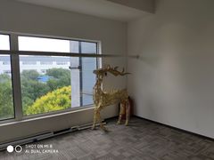 -中央芭蕾舞团·中芭艺蕾(酒仙桥明星校区)