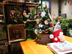 -ZING COFFEE 镜咖啡