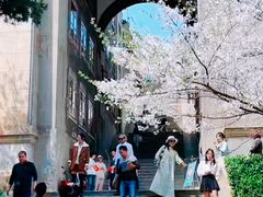 -武汉大学-樱园