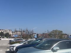 -新场古镇-停车场