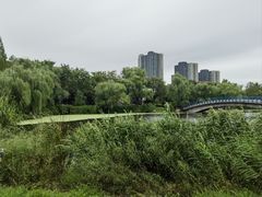 -河海大学(江宁校区)