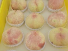 -老袁家蜜桃农场·阳山水蜜桃