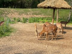 -北京野生动物园