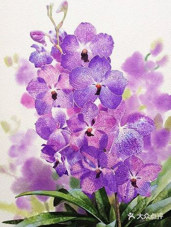 百花齐放，美美哒的画作