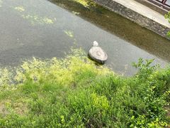 -东坡赤壁风景名胜区