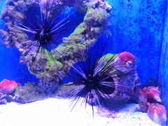 -海合安武汉极地海洋公园