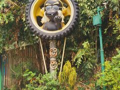 -西双版纳原始森林公园