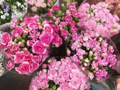 -双季花艺园艺市场(浦东店)