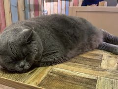 -小时光咖啡馆(开森度假森林店)