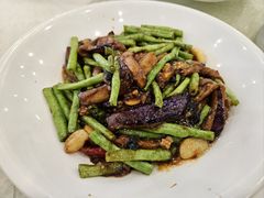 -姚林轩