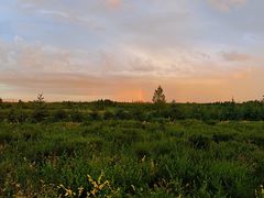 -霸王河欢乐世界