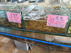 -荔城生鲜盛宴(番禺旗舰店)