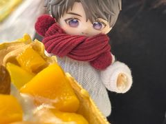 -Salud撒露欧洲冻酸奶(蓝色港湾店)