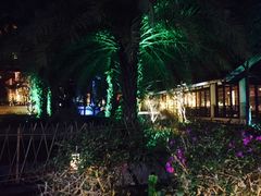 -三亚珠江南田温泉度假区