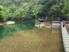 -龙湾潭国家森林公园