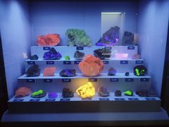 -湖南省地质博物馆