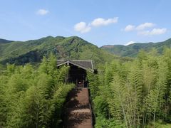 -大唐贡茶院