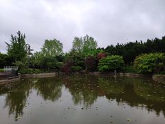 -嘉定紫藤园