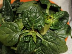 -洛阳宴·洛阳菜(南昌路店)