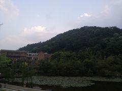 -神光山国家森林公园