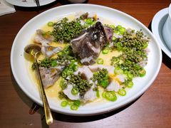 青青椒麻龙胆鱼-CHIC1699远洋私厨