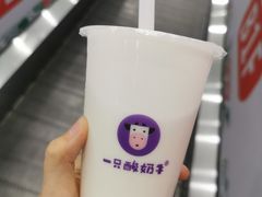-一只酸奶牛(益州国际店)