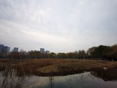 -滨湖塘西河公园