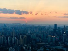 -南山植物园