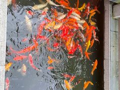 -阳春市花园酒店