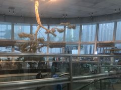 -金光华广场