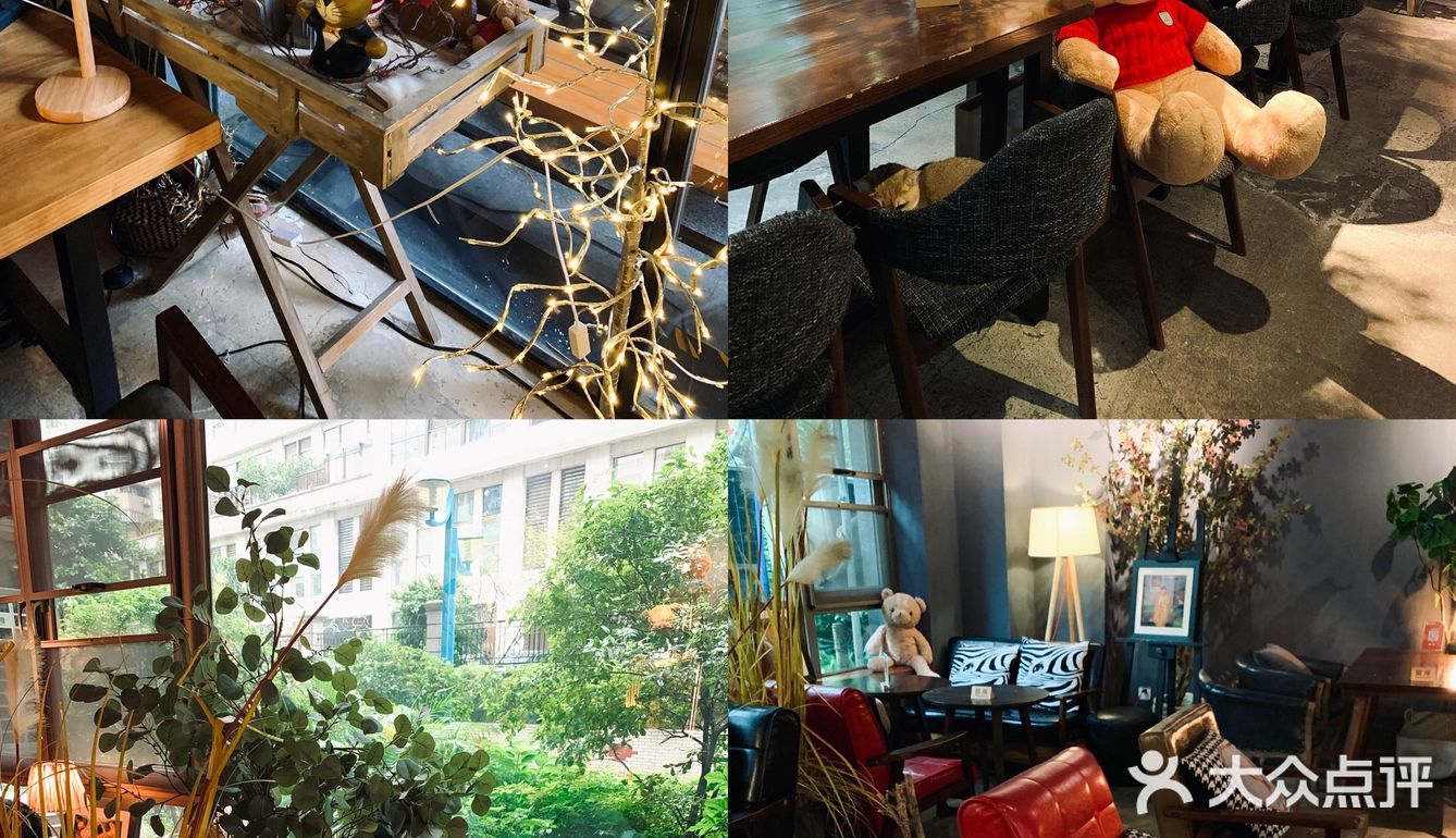 广州被绿植包围的咖啡厅🍃超多猫🐈