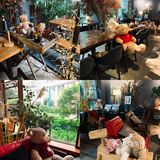 广州被绿植包围的咖啡厅🍃超多猫🐈