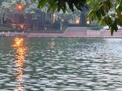 -荔湾湖公园