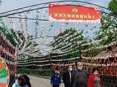 -大槐树寻根祭祖园