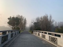 -昆山城市生态森林公园