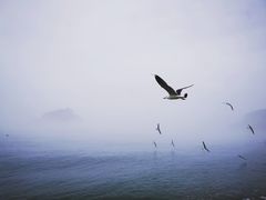 -棒棰岛宾馆景区