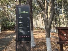 -杭州半山国家森林公园