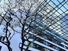-大馆(前中区警署建築群)