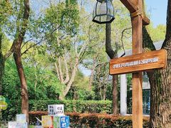 -上海共青森林公园