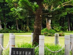 -深圳仙湖植物园