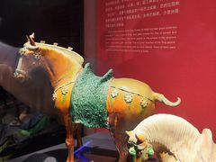 -陕西历史博物馆