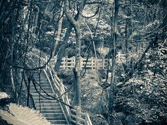 -天鹿湖森林公园