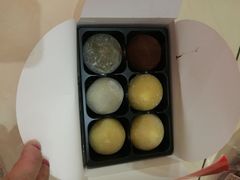 -西树泡芙(北京金源2店)