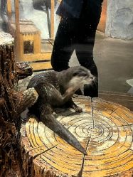 -Zoolung Zoolung动物主题公园(海信广场店)