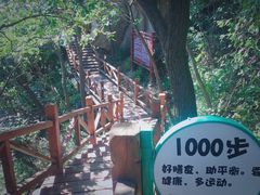 -大岭沟猕猴桃谷风景区