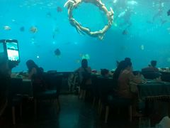 -瑞德姆美人鱼海底演艺主题餐厅(亚龙湾店)
