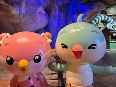 -杭州开元森泊度假乐园