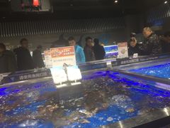 -盒马鲜生(昆城店)