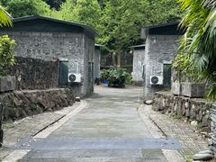 -都江堰中华大熊猫苑